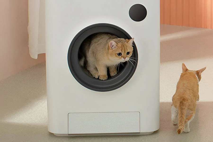 how to clean litter box
