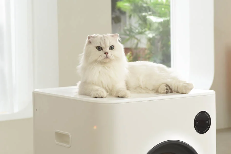 scent free litter box